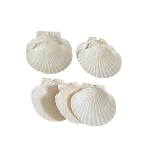 Natural Scallop Clam Shell Appetizer Snack Plates, Set Of 7 - Picture 1 of 8